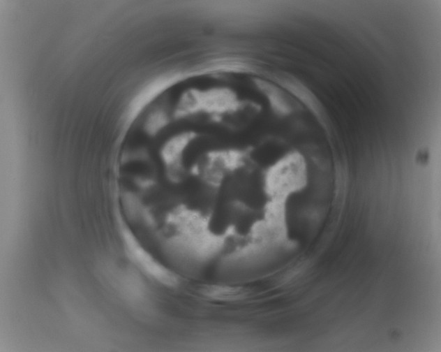 X0000113851439200910151201