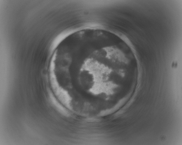 X0000113851440200910151201