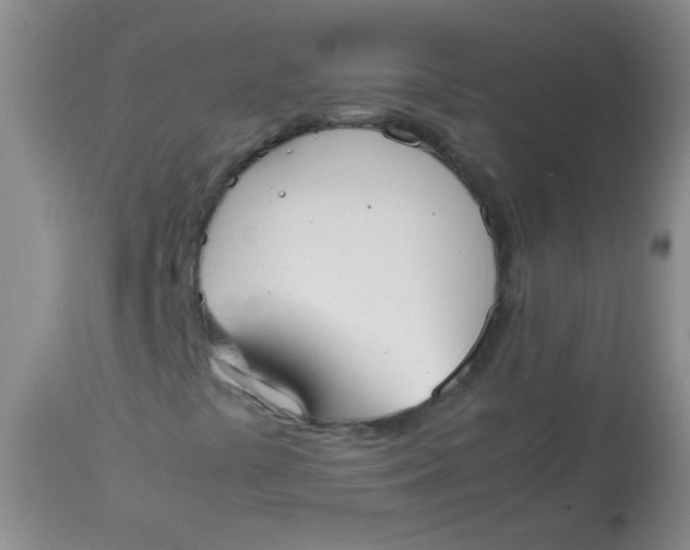 X0000113851441200910151200