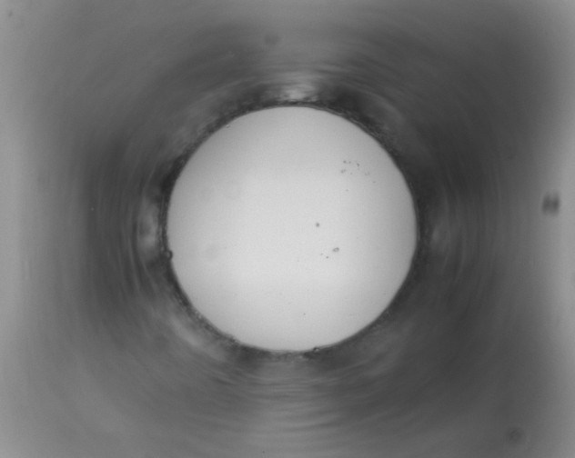 X0000113851442200910151200