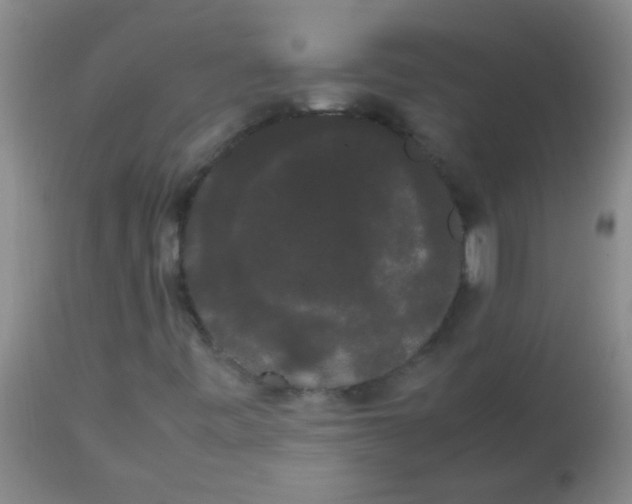 X0000113851443200910151200