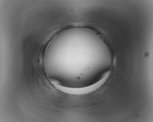 X0000113851444200910151200