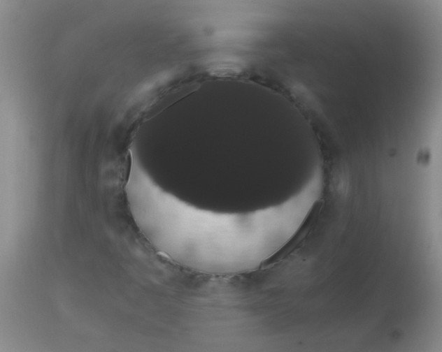 X0000113851445200910151200