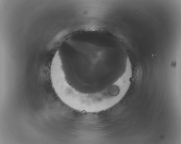 X0000113851446200910151200