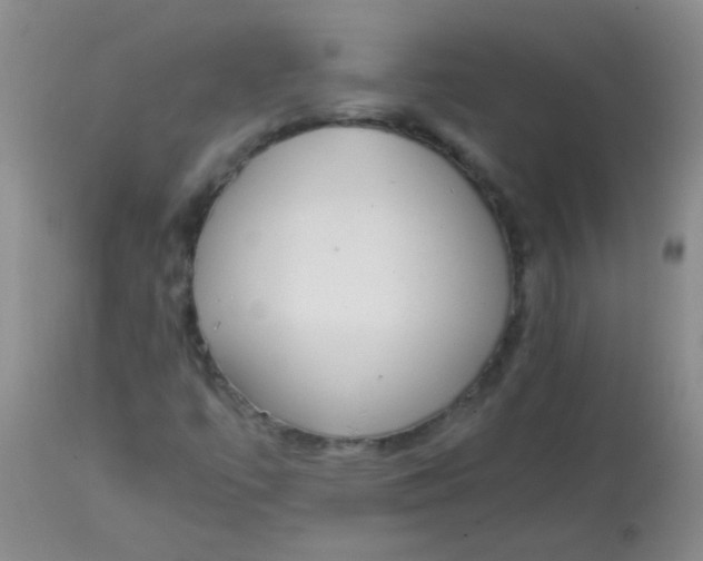 X0000113851447200910151200