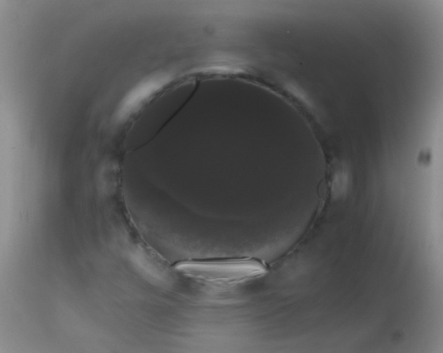 X0000113851448200910151200