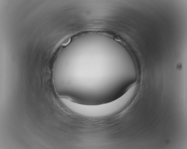 X0000113851449200910151200