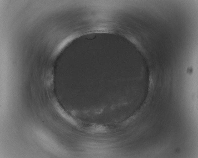 X0000113851450200910151200