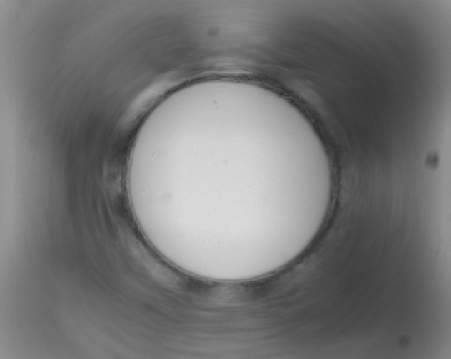 X0000113851451200910151200