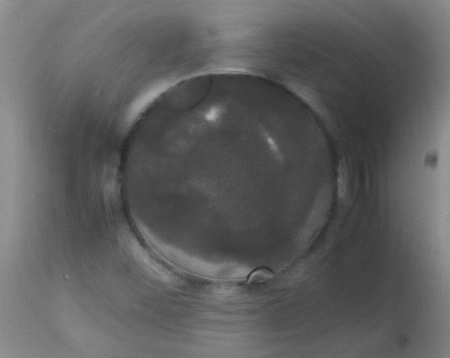 X0000113851452200910151200