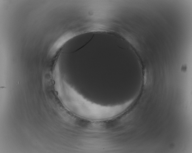 X0000113851453200910151200