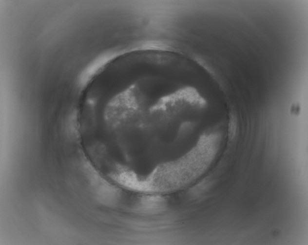 X0000113851454200910151200