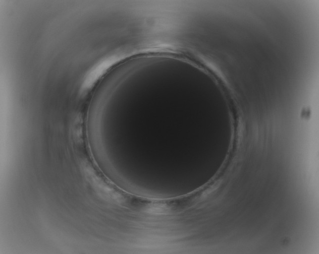 X0000113851455200910151200