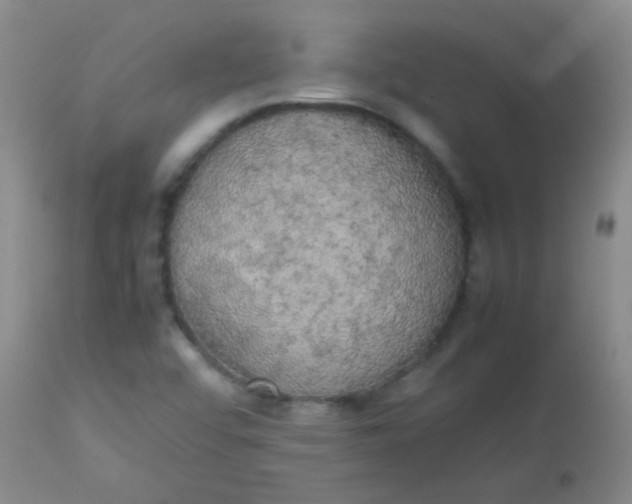 X0000113851456200910151200