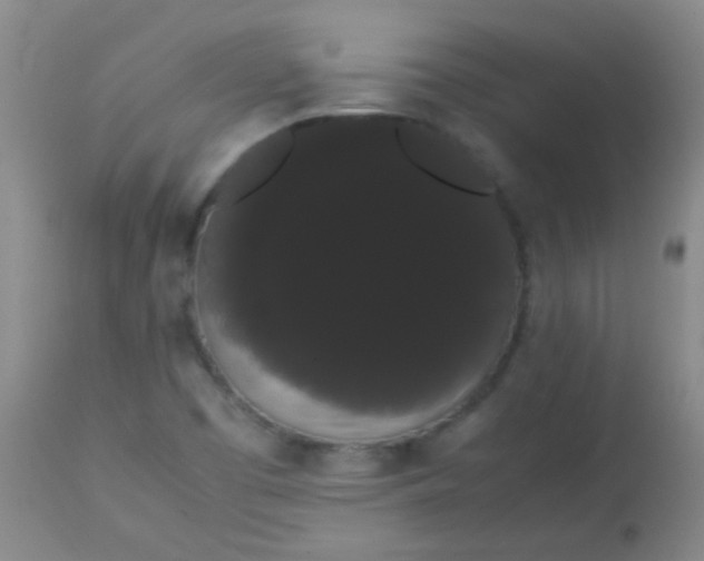 X0000113851457200910151200