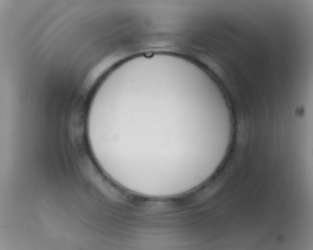 X0000113851458200910151200