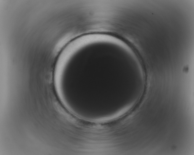 X0000113851459200910151200