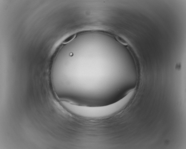 X0000113851460200910151200