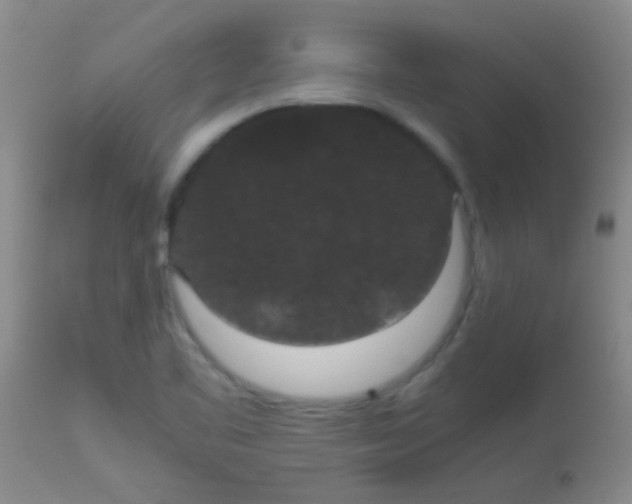 X0000113851461200910151200