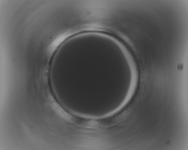 X0000113851463200910151200