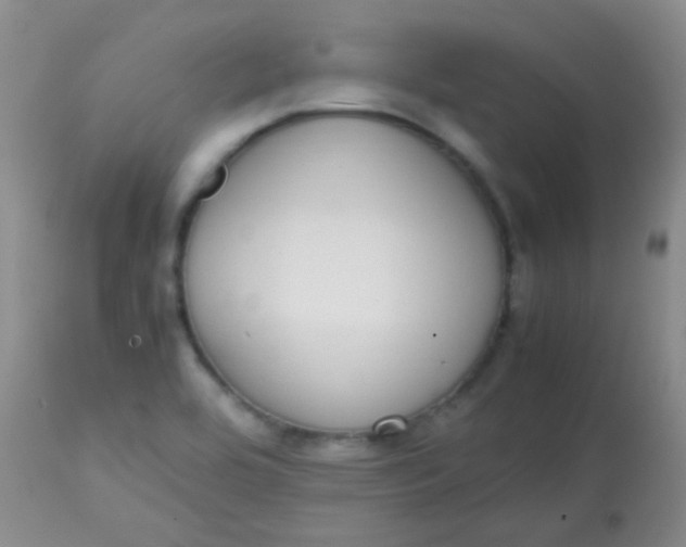 X0000113851464200910151200