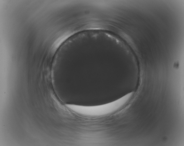 X0000113851465200910151200