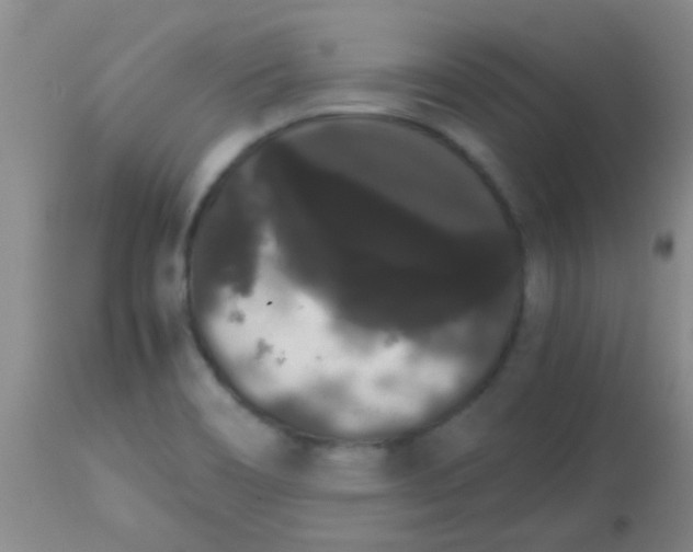 X0000113851466200910151200