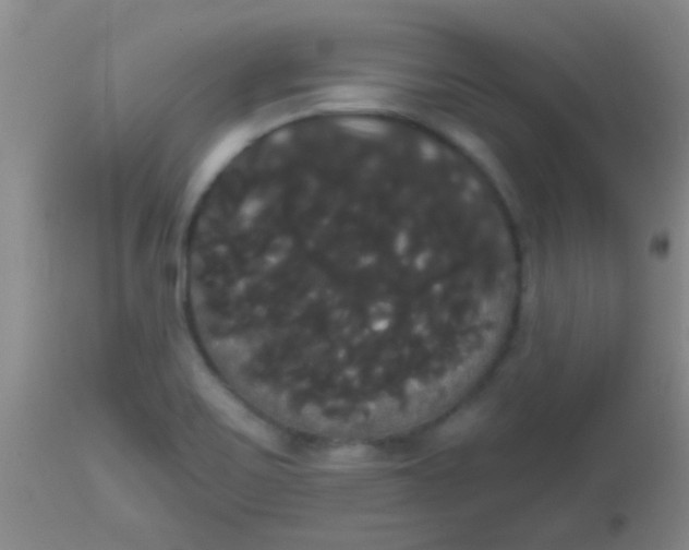 X0000113851467200910151200