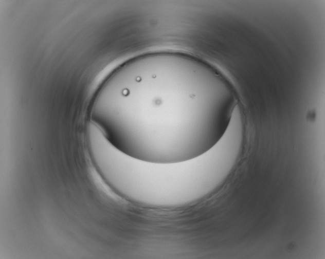 X0000113851468200910151200