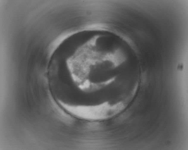 X0000113851470200910151200