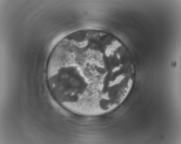 X0000113851471200910151200