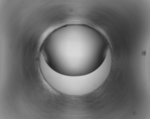 X0000113851472200910151200