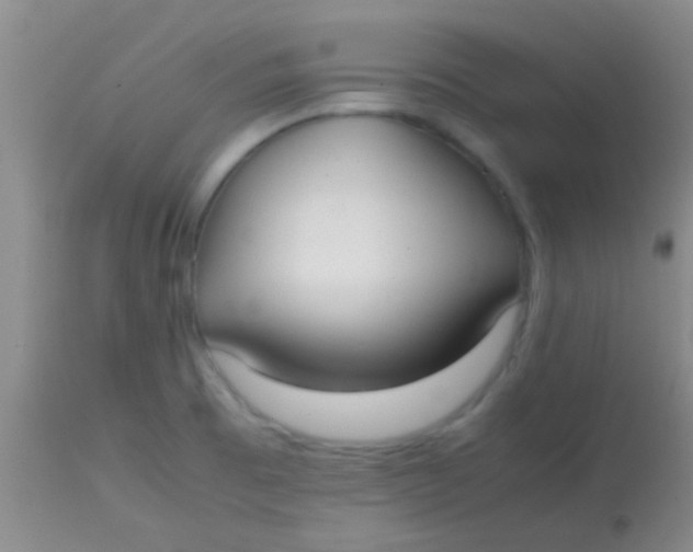 X0000113851473200910151200