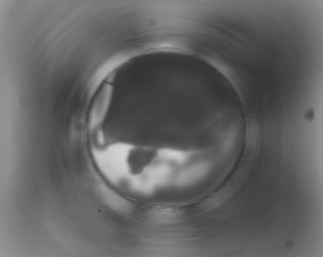 X0000113851474200910151200