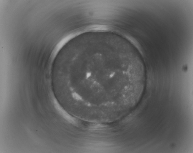 X0000113851475200910151200