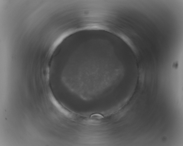 X0000113851476200910151200