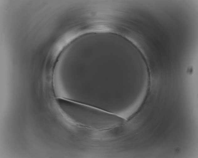 X0000113851477200910151200