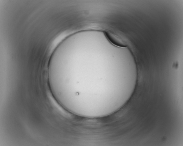 X0000113851479200910151200