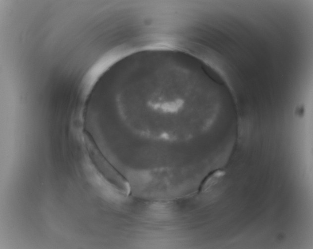 X0000113851480200910151200