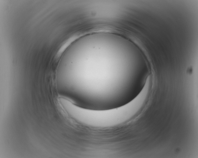 X0000113851481200910151200