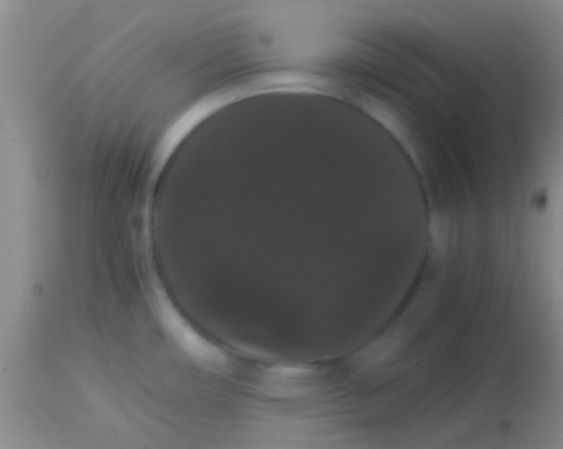 X0000113851482200910151200