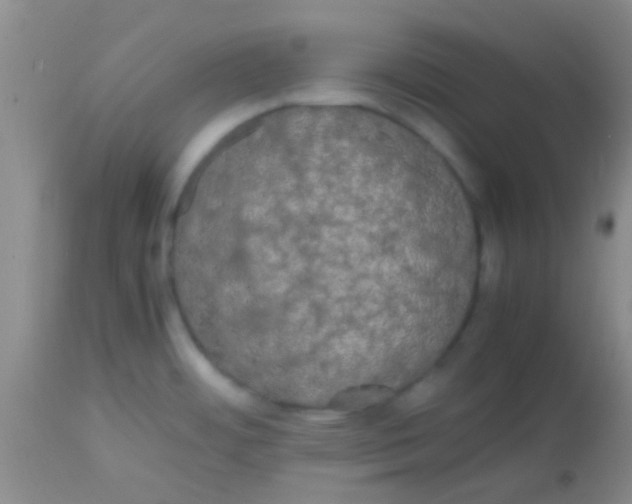 X0000113851484200910151200