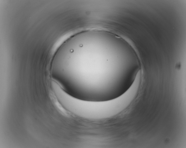 X0000113851485200910151200