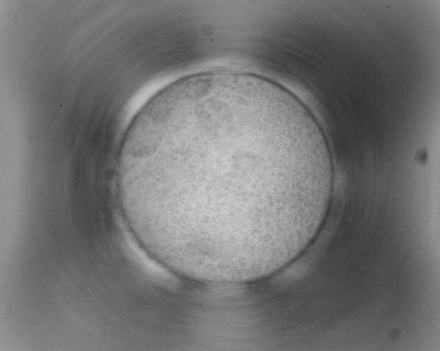 X0000113851486200910151200