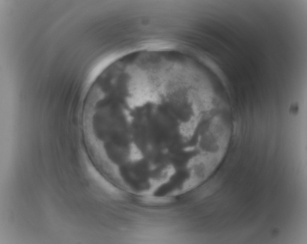 X0000113851487200910151159