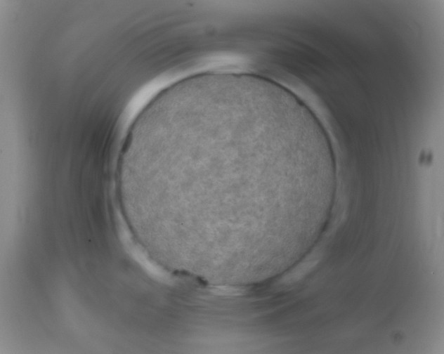 X0000113851488200910151159