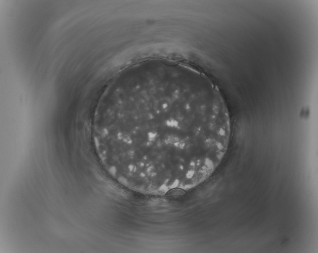 X0000113851489200910151158