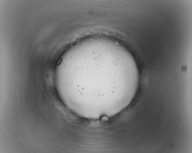 X0000113851490200910151158