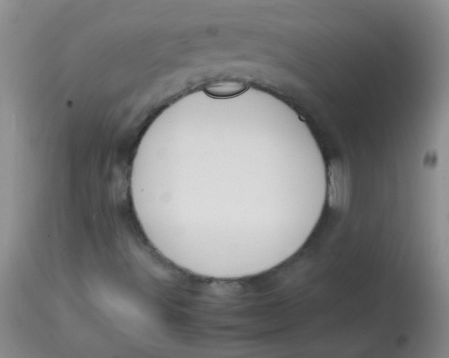 X0000113851491200910151159