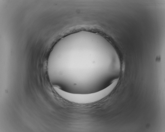 X0000113851492200910151159